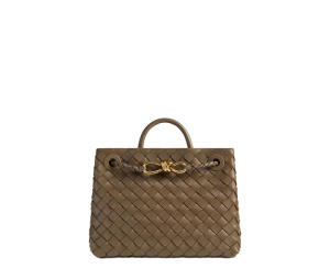 Buy Bottega Veneta Small Andiamo In Lambskin With Brass Finish Hardware Pinecone at Sasom – Authentic and Ready to Ship