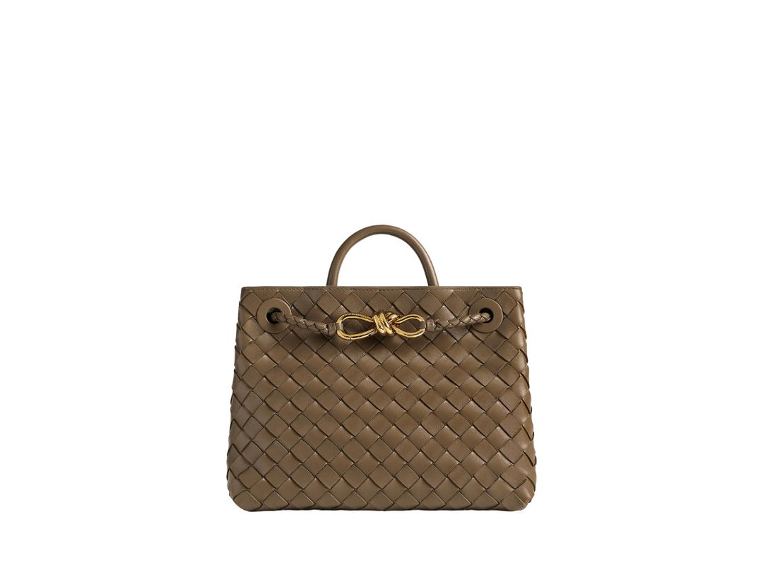 Bottega Veneta Bottega Veneta Small Andiamo In Lambskin With Brass Finish Hardware Pinecone