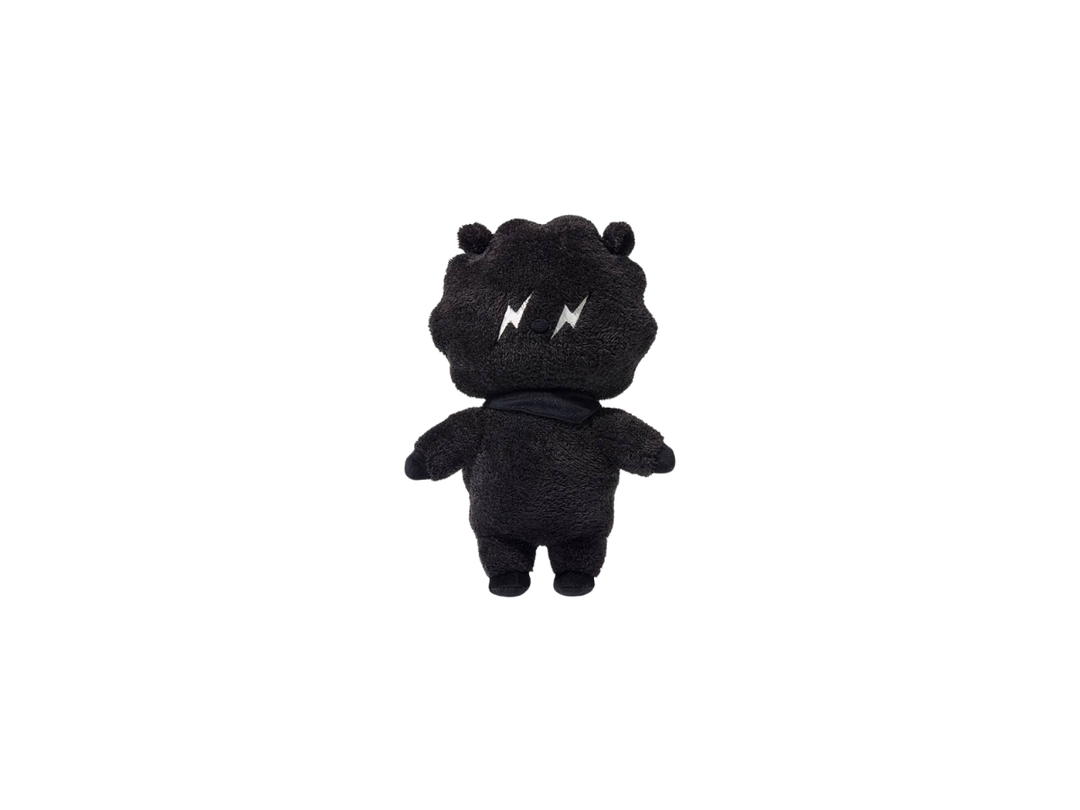 BT21 BT21 X FRAGMENT MEDIUM SIZE PLUSH DOLL "RJ"