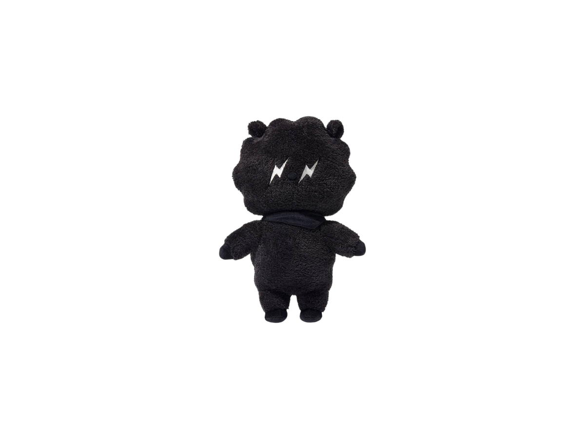 BT21 BT21 X FRAGMENT MEDIUM SIZE PLUSH DOLL "RJ"
