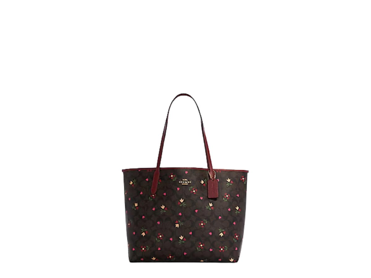 Coach Coach City Tote Brown