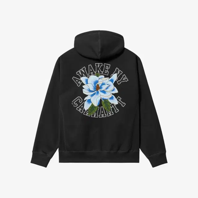 Carhartt WIP Carhartt WIP x Awake NY Hoodie Black - view 2