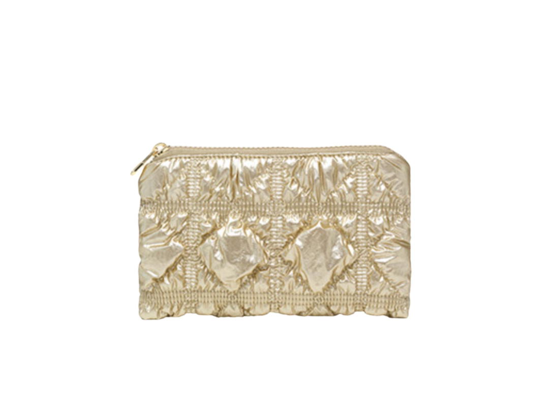 Carlyn Carlyn Poing Pouch In Nylon-PU With Gold Hardware Gold
