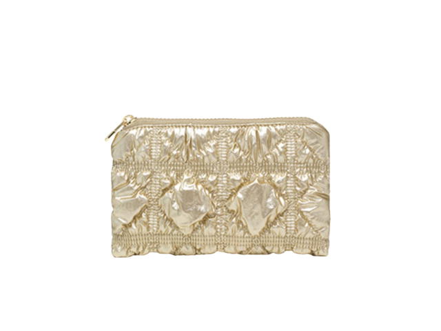 Carlyn Carlyn Poing Pouch In Nylon-PU With Gold Hardware Gold - view 1