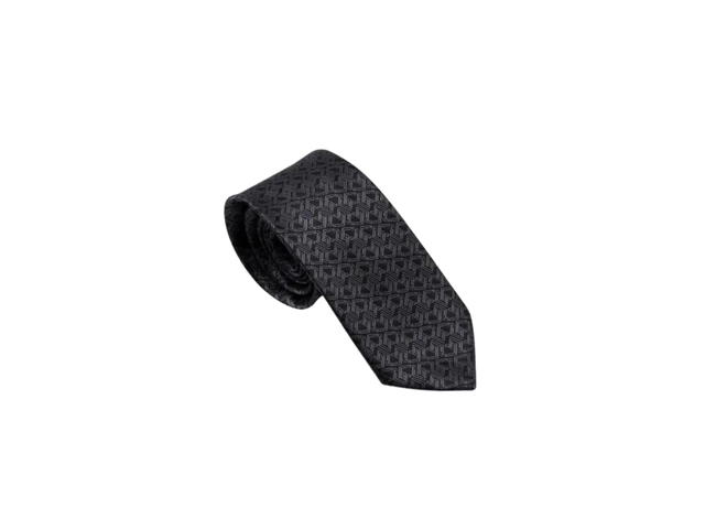 Carnival Carnival Essential Neck Tie (SS23) - view 2