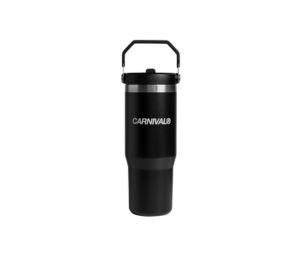Buy Carnival Stanley Classic Flip Straw Tumbler Black 2.0 (30 OZ) at Sasom – Authentic and Ready to Ship