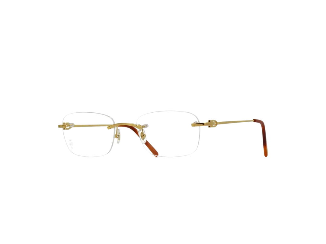 Cartier Cartier CT0050O Glasses In Gold Plate With Demo Lens