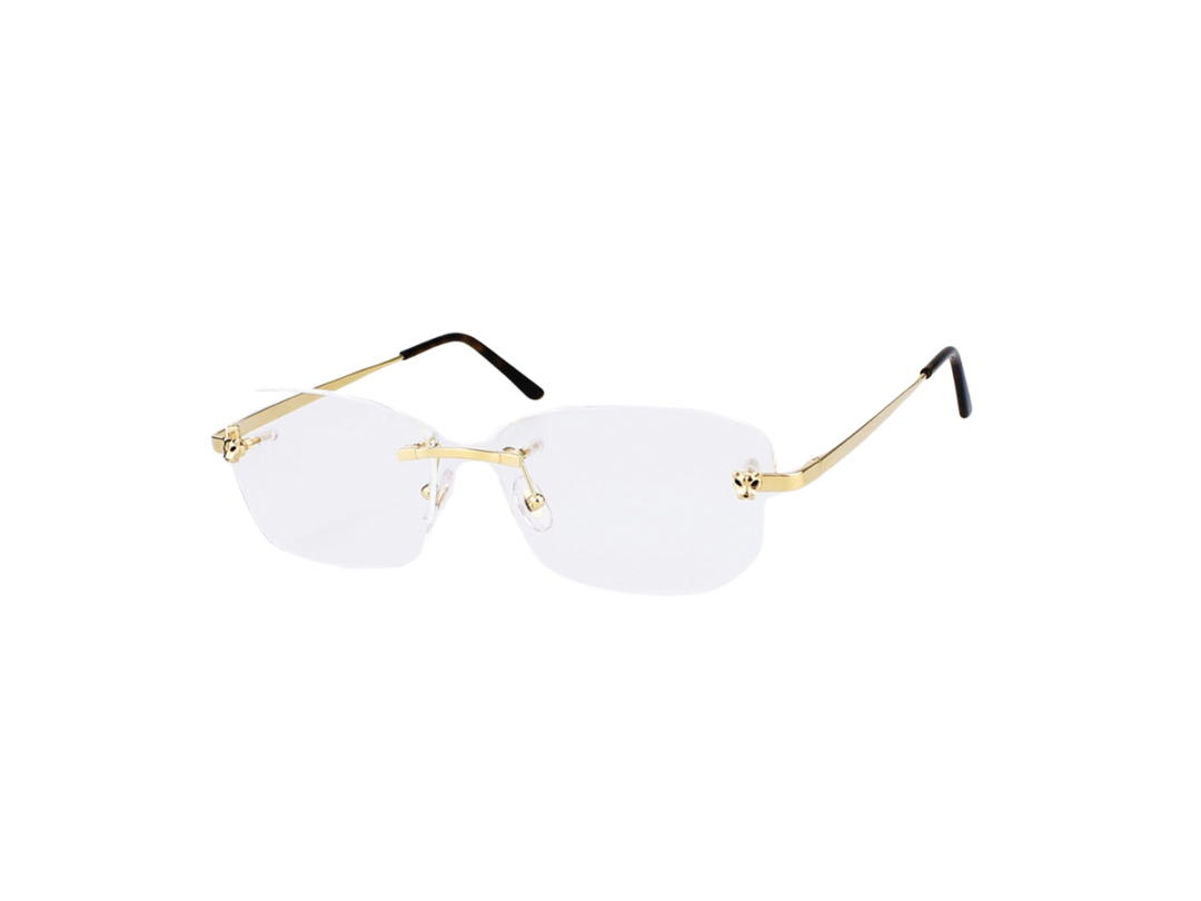 Cartier Cartier CT0148O Glasses In Gold Plate With Demo Lens