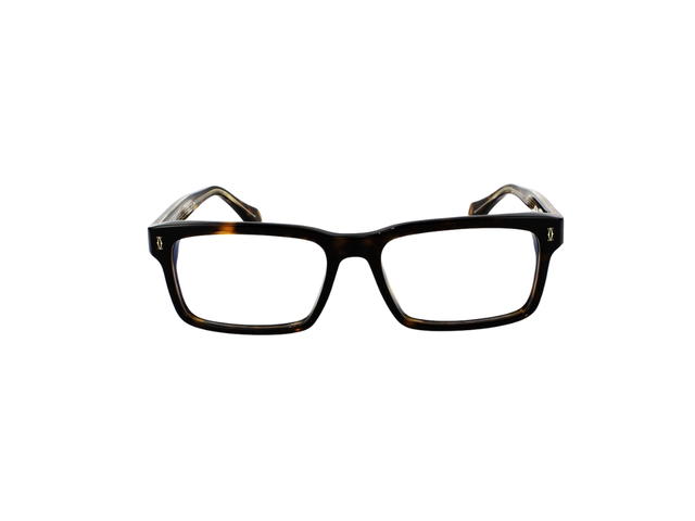 Cartier Cartier CT0291OA Glasses In Gold Plate Acetate With Demo Lens Havana - view 2