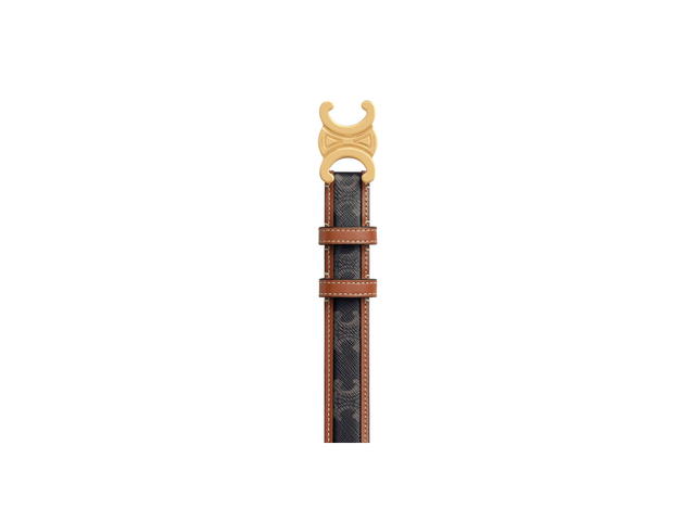 Celine Celine Border Triomphe Belt Medium 25MM In Triomphe Canvas And Calfskin With Triomphe Buckle Gold Finishing Tan - view 3