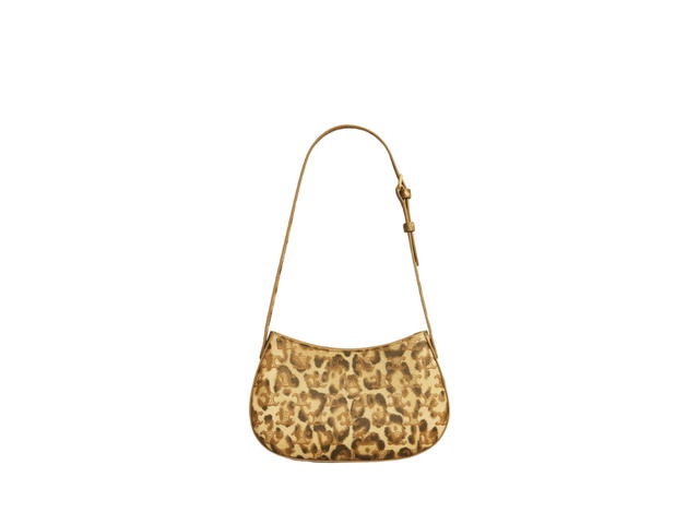 Celine Celine Medium Tilly Bag In Triomphe Canvas With Gold Finishing Leopard Print - view 3