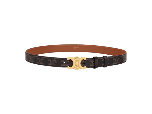 Celine Celine Medium Triomphe Belt In Triomphe Canvas With Gold Finishing Tan - view 2