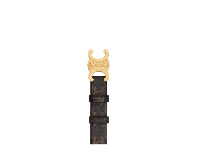 Celine Celine Medium Triomphe Belt In Triomphe Canvas With Gold Finishing Tan - view 3