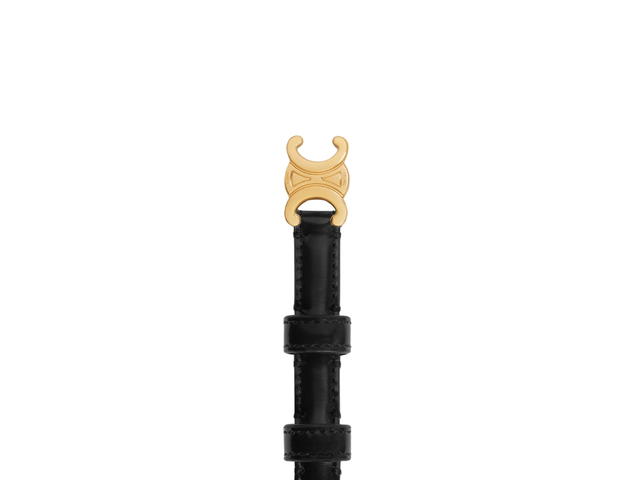 Celine Celine Teen Triomphe Belt In Taurillon Leather With Gold Finishing Black - view 3