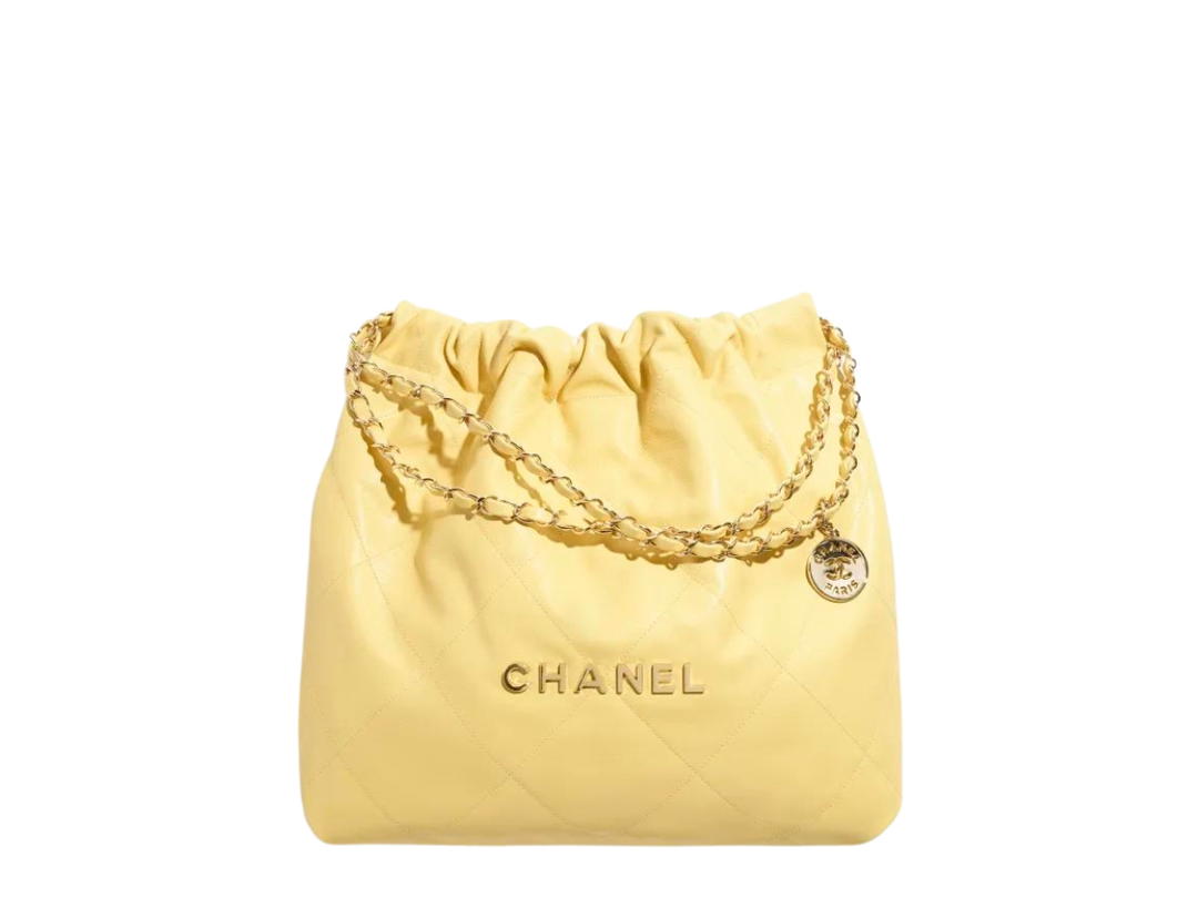 Chanel Chanel 22 Handbag