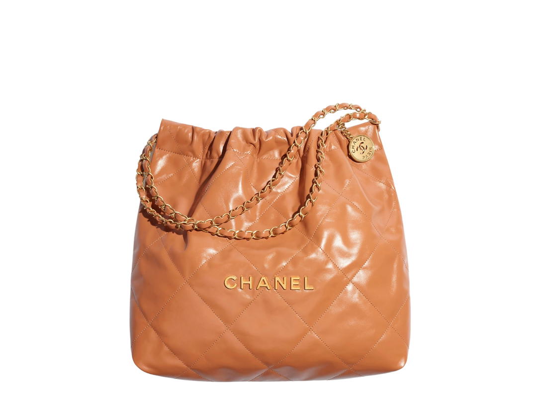 Chanel Chanel 22 Handbag
