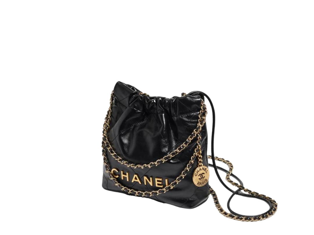Chanel Chanel 22 Mini Handbag