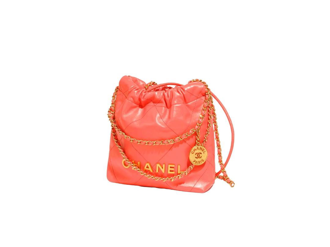 Chanel Chanel 22 Mini Handbag