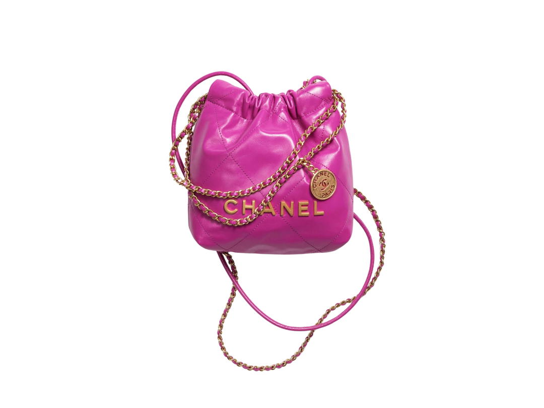 Chanel Chanel 22 Mini Handbag