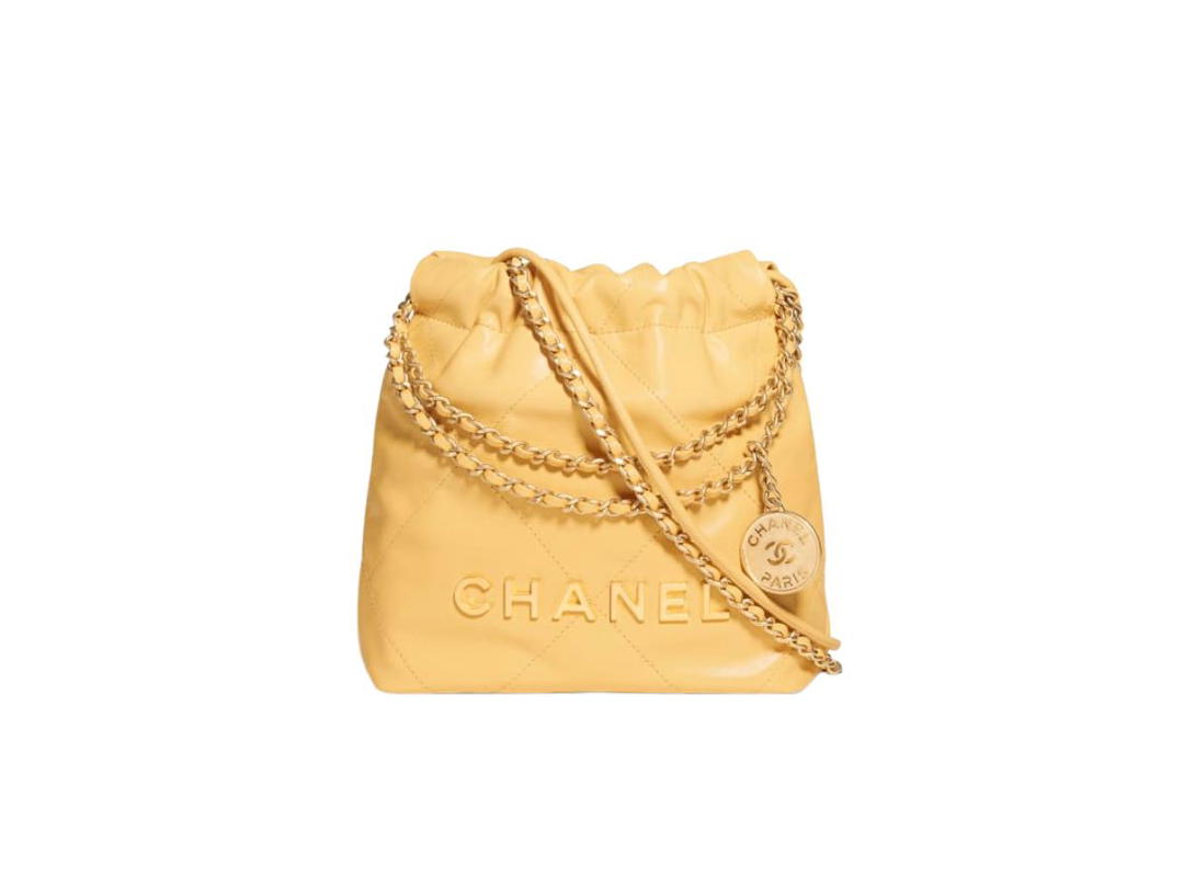 Chanel Chanel 22 Mini Handbag