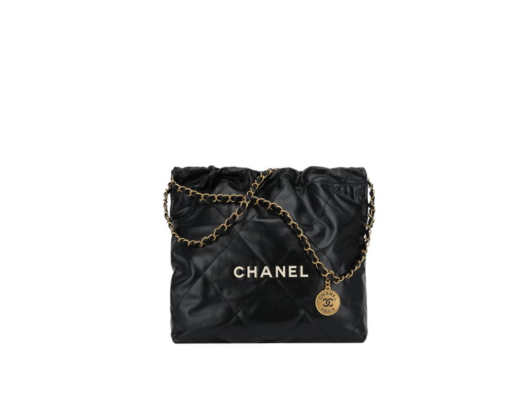 Chanel Chanel 22 Small Handbag