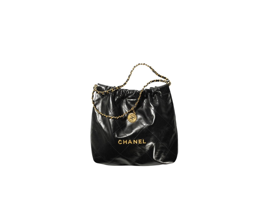 Chanel Chanel 22 Small Handbag