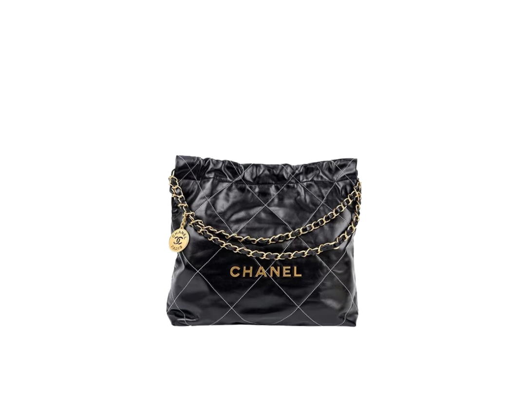 Chanel Chanel 22 Small Handbag