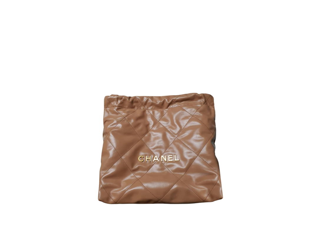 Chanel Chanel 22 Small Handbag