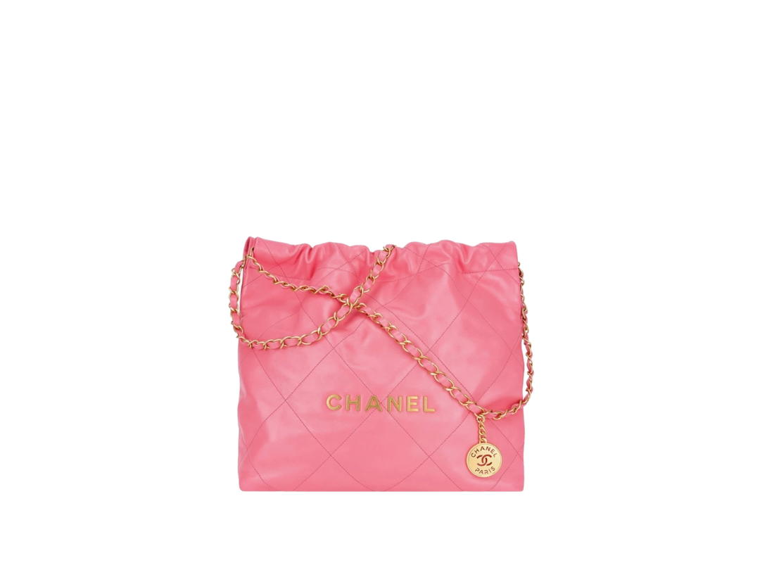 Chanel Chanel 22 Small Handbag