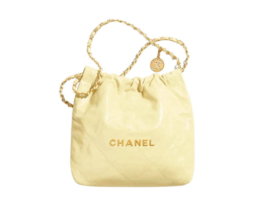 Chanel Chanel 22 Small Handbag