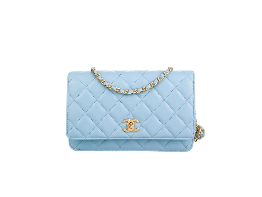 Chanel Chanel Classic Wallet On Chain