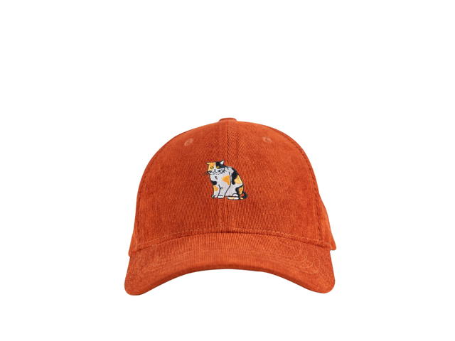 Classy Classy Dad Cap Orange - view 1