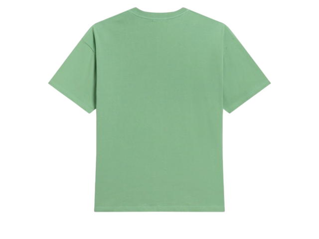 Carnival Carnival Melody Ovs Washed T-shirt (SS25) Holiday In The Sun Green - view 2