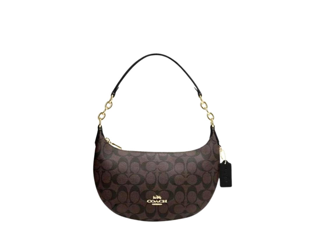 Coach Coach Payton Hobo In Signature Canvas With Gold Hardware Brown Black