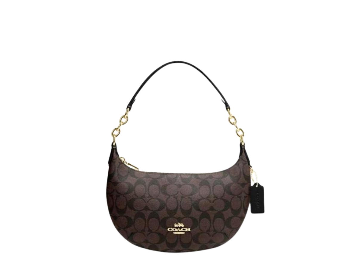 Coach Coach Payton Hobo In Signature Canvas With Gold Hardware Brown Black