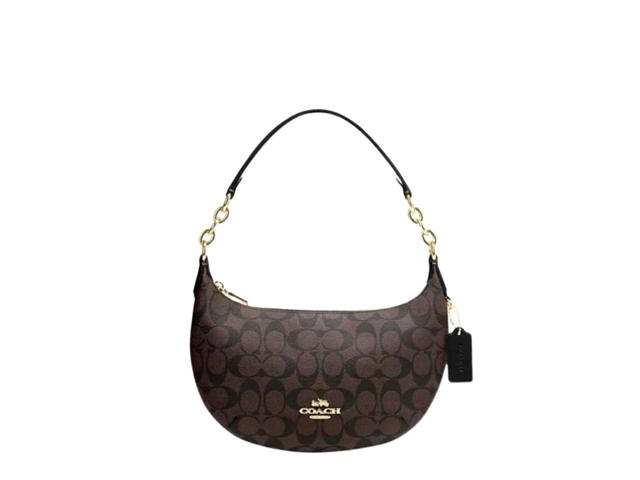 Coach Coach Payton Hobo In Signature Canvas With Gold Hardware Brown Black - view 1