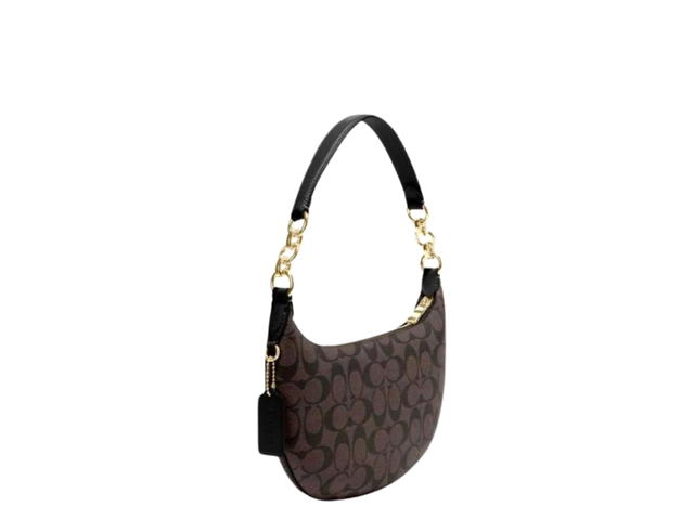 Coach Coach Payton Hobo In Signature Canvas With Gold Hardware Brown Black - view 3