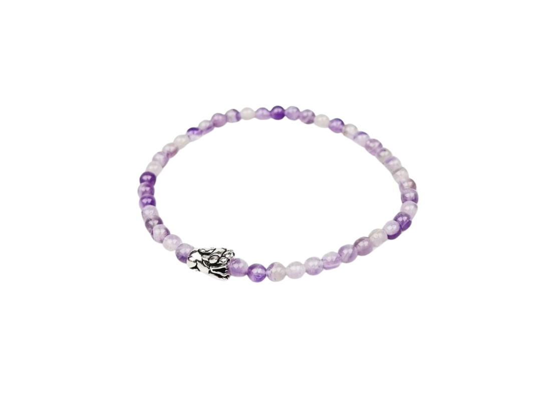 Crowcinz Crowcinz / Pixiu Amethyst