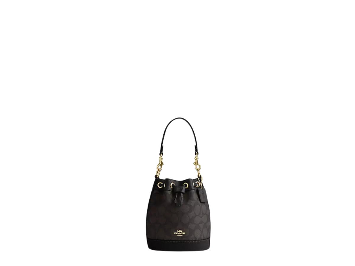 Coach Coach Mini Bucket Bag In Gold Hardware With Walnut Black