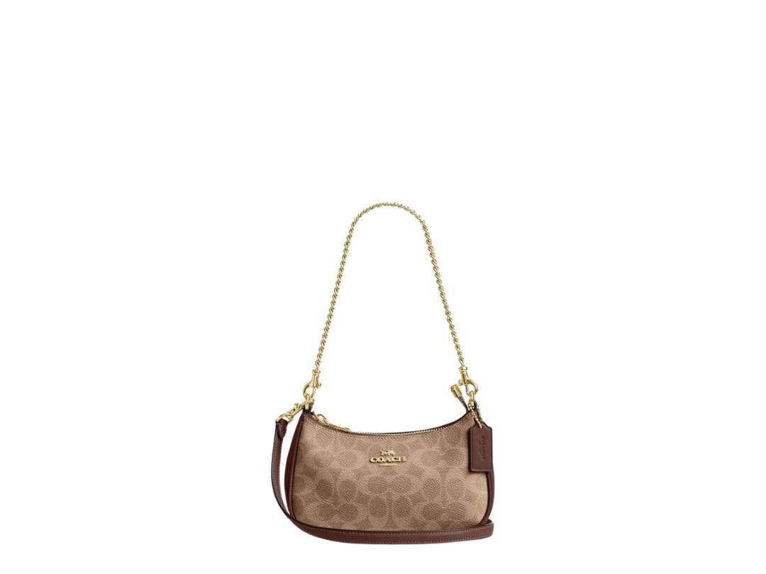 Coach Coach Teri Mini Crossbody Bag In Signature Canvas Brown