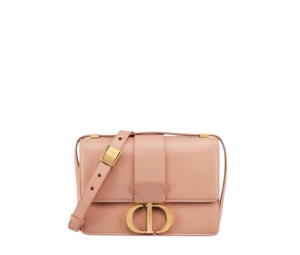 Buy Dior 30 Montaigne Bag In Rose Des Vents Box Calfskin With Gold-finish Metal at Sasom – Authentic and Ready to Ship