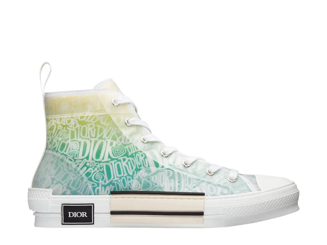 Dior Dior And Shawn B23 High Top