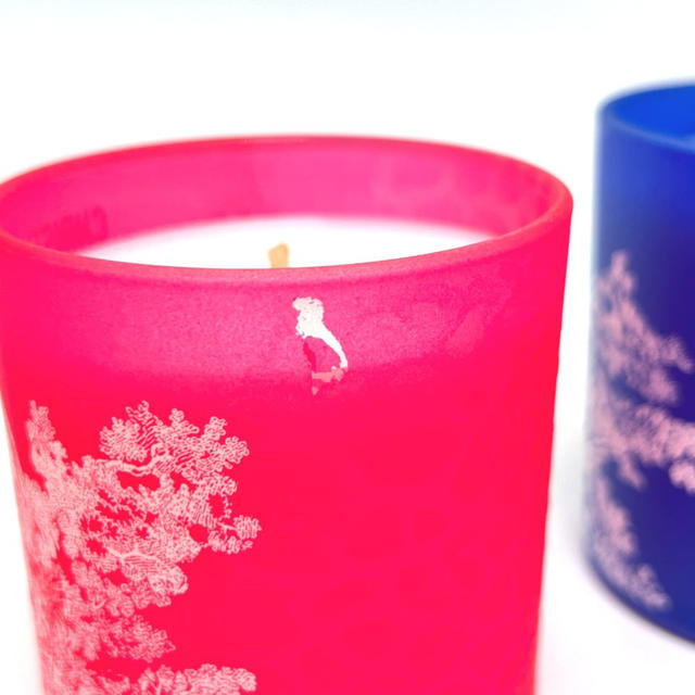 Dior Dior Dioriviera 2022 Toile de Jouy Set of 3 Aromatherapy Candles Unused - view 4