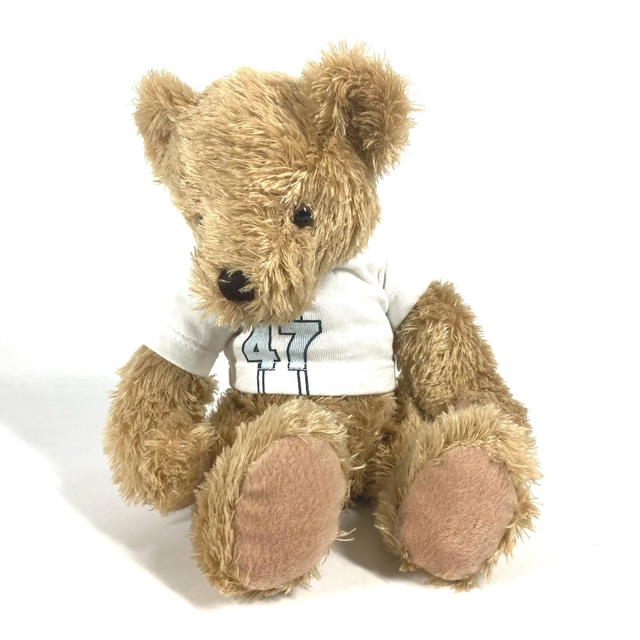Dior Dior doll bear bear interior Logo t-shirt Apparel Teddy Bear Plush Doll - view 2