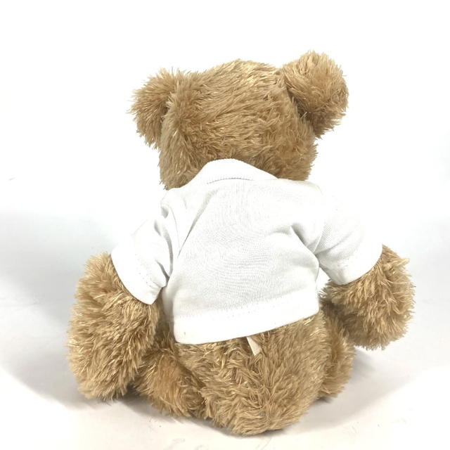 Dior Dior doll bear bear interior Logo t-shirt Apparel Teddy Bear Plush Doll - view 3