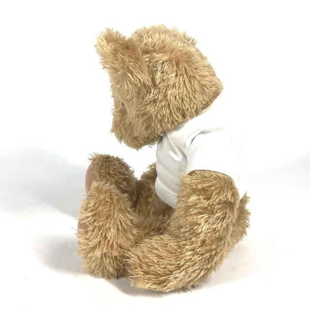 Dior Dior doll bear bear interior Logo t-shirt Apparel Teddy Bear Plush Doll - view 5