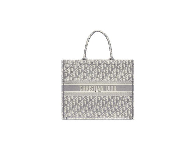Dior Dior Large Book Tote Gray Dior Oblique Embroidery - view 1