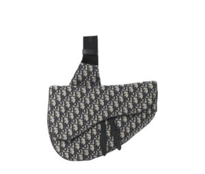 Buy Dior Saddle Bag In Dior Oblique Jacquard With Aluminum Buckle Beige and Black at Sasom – Authentic and Ready to Ship