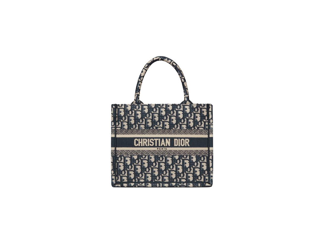 Dior Dior Small Book Tote In Blue Dior Oblique Embroidery