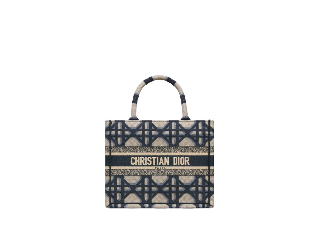 Dior Dior Small Dior Book Tote In Beige-Blue Macrocannage Embroidery Motif With The Christian Dior Paris Signature